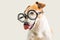 Adorable licking dog Jack Russell terrier in glasses. Grey background. fool around