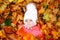 Adorable little baby girl in autumn park on cold october day with oak and maple leaf. Fall foliage. Family outdoor fun