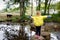 Adorable little child hiking in forest. Toddler girl passing creek. Happy healthy kid having fun in nature, spending