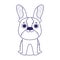 Adorable little dog domestic sitting cartoon pets