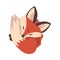 Adorable Little Fox Sleeping Curled Up, Cute Fluffy Wild Forest Animal Cartoon Character Vector Illustration