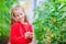 Adorable little girl collecting crop cucumbers and tomatoes in greenhouse. Portrait of kid with red tomato in hands.