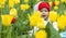 Adorable little girl gathering tulips in the garden