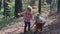 Adorable little girl hiking in the forest on summer day. Happy child girl in forest. Little kid playing in the autumn on