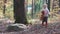 Adorable little girl hiking in the forest on summer day. Happy child girl in forest. Little kid playing in the autumn on