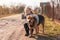 Adorable little girl hugging a large brown yard dog on a village street