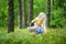 Adorable little girl picking foxberries in the forest