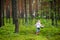 Adorable little girl picking foxberries in the forest