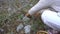 Adorable little girl picking mushrooms in the forest