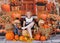 Adorable little girl posing on fall backdrop