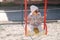 Adorable little girl on the swing set in playground. Happy little girl have fun. One and hulf year girl