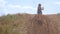 Adorable little girl in vintage dress standing on the hill. Child running in wild grass countryside rural landscape 4K.