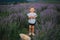 Adorable little girl walking in lavender field after sunset. Blue or purple lavender. Happy kid smile, run and jump.