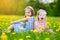 Adorable little girls having fun together in blooming dandelion meadow