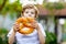 Adorable little kid boy eating huge big bavarian german pretzel.