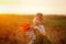 Adorable little kid boy picking carrots in domestic garden on the sunset