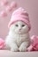 Adorable little white fluffy cat with pink hat wallpaper, animal background, banner with copy space text
