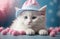 Adorable little white fluffy cat with pink hat wallpaper, animal background, banner with copy space text