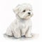 Adorable Maltese Puppy in Watercolor: A Delightful Addition to Your Designs and Projects AI Generated