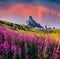 Adorable morning view of peak Ra Gusela, Averau - Nuvolau group from Passo di Giau. Wonderful summer scene of Dolomiti Alps, Corti