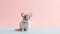 Adorable Mouse Portrait On Pink Background - Felinecore Photography