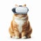An adorable orange cat sitting upright with a virtual reality headset on, isolated on a white background