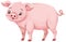 Adorable Piggy in Cartoon Character Style