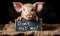 Adorable piglet with big ears pleading for compassion holding a rustic sign with the message Dont eat me!, promoting animal