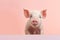 Adorable Piglet: Minimalist Cuteness& x22;..Adorable Piglet: Minimalist Cuteness& x22;..