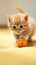 An adorable, playful orange kitten engaged with a toy