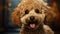 Adorable Poodle Dog in Cinematic Style AI Generated