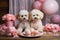 Adorable poodles with balloons and sweets. Valentines Day celebration with cute little dogs.