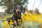 Adorable portrait of amazing healthy and happy dachshund dogs, black and tan in the yellow flowers meadow