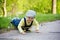 Adorable preschool child skateboarding on the street