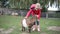 Adorable preschooler girl playing with goats at farm