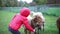 Adorable preschooler girl playing with sheep at farm