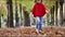 Adorable preschooler girl walking in Tuileries garden in Paris, on a fall day