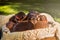 Adorable puppies cuddled up in a basket, snuggled together to keep warm