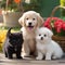 Adorable puppies and kittens having a playful day in a sunny garden Charming and heartwarming illustration for animal-themed pro