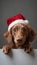 Adorable puppy in christmas hat peeking from behind blank banner, creating a cute and festive scene