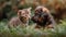 An adorable puppy and kitten are lying together in grass outdoors