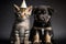 Adorable puppy and kitten. Pets in a triangular festive hats. Generative Ai.