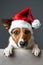 Adorable puppy in a red christmas hat peeking out from behind a blank festive banner