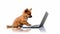 Adorable Puppy Trying To Use A Laptop In A Whimsical Webcore Style
