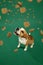 Adorable purebred dog, Beagle sitting over green background with dog's food falling down, eating