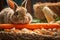 Adorable Rabbit Enjoying a Carrot Snack