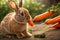 Adorable Rabbit Enjoying a Carrot Snack