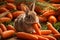 Adorable Rabbit Enjoying a Carrot Snack