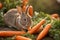 Adorable Rabbit Enjoying a Carrot Snack