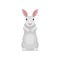 Adorable rabbit standing on hind legs, front view. Long-eared mammal animal with cute muzzle. Flat vector icon